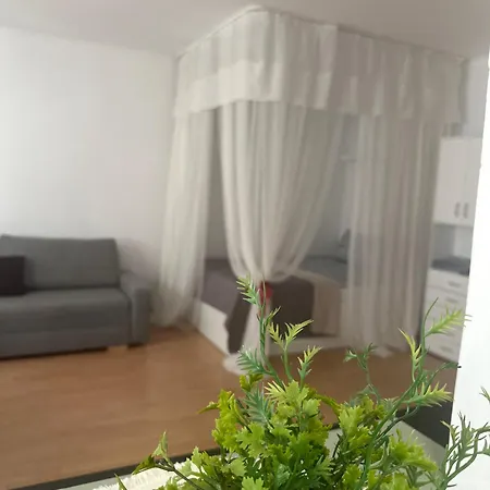 Elektoralnastreet Parkingfree Daire *